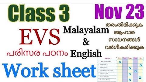 Class 3 Evs worksheet november 23|3 std parisarapadanam| kite victers std 3 evs class November 23