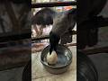 #crow #eating #egg #shorts