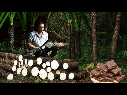 Harvesting wild taro – Cooked and distilled according to traditional recipe