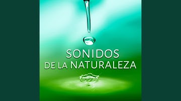 Colores de la Esparanza