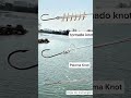 3 Essential Fishing Knots Every Angler Must Know! (Tornado, Palomar, & Single Line) #fishing