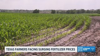 Texas farmers feel strain as fertilizer prices spike during growing season