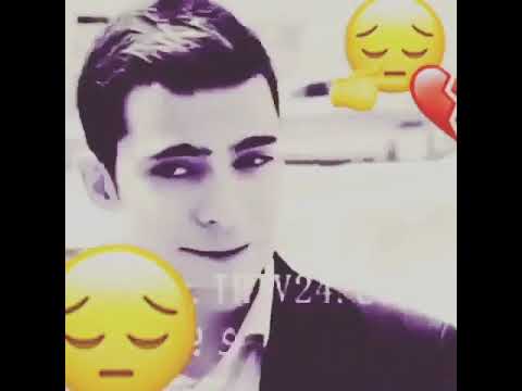 Картинка дили шикаста