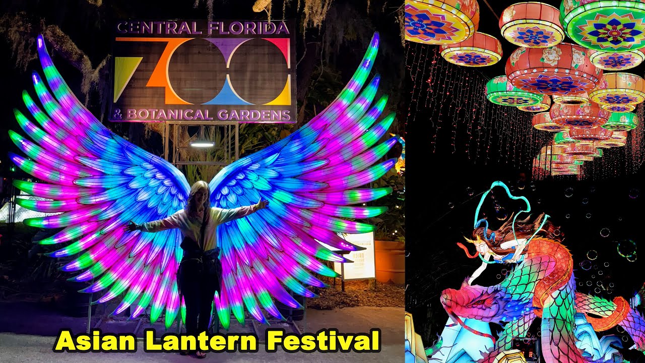 Asian Lantern Festival 2024 At The Central Florida Zoo In Sanford YouTube asian-lantern-festival-2024-at-the-central-florida-zoo-in-sanford-youtube