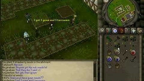 farming for beginners