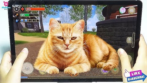 Cat Simulator 2020 - Cat Sim Online Game - Play with Cat Clan Pet Simulator 2020 Android Gameplay #2