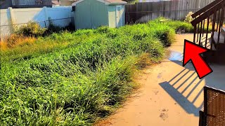 Homeowner With An Overgrown MICE INFESTED Yard Gets A FREE Lawn Makeover