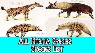 All Hyena Species - Species List