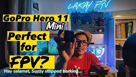 GoPro Hero 11 Mini | Perfect for FPV?