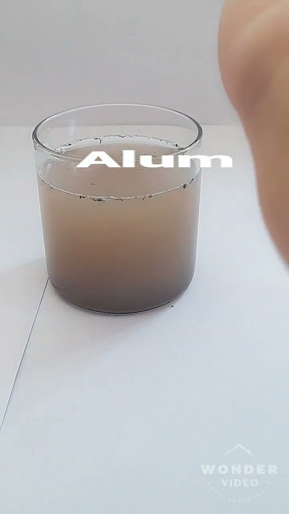 natural water purifier by using fitkari (alum)