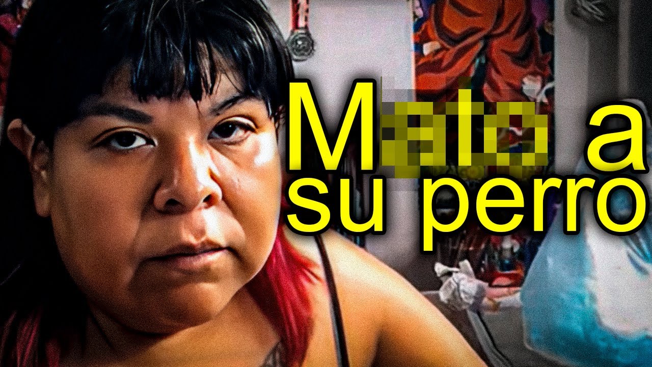 La OSCURA VERDAD de la MASCOTA de AIMEP3