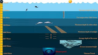 Depth Of The Ocean After Missing Titan Submarine
MechanicsMix introduce interesting engineering and technology videos with new vision, you will enjoy with MechanicsMix because our goal is to simplify engineering science and technology.
To donate to the Mechanics Mix channel : https://paypal.me/MechanicsMix
Subscribe to our Youtube Channel: https://www.youtube.com/@MechanicsMix
Follow us on our social links and Stay Tuned:
Facebook: http://www.facebook.com/MechanicsMix
Twitter: https://twitter.com/MechanicsTips
Google+: https://plus.google.com/b/116493691644565680697
Rss (Atom): http://feeds.feedburner.com/MechanicsTips
http://mechanicstips.blogspot.com Depth Of The Ocean After Missing Titan Submarine