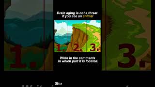 IQ test №51 for visual-spatial perception / #find #iqtest #opticalillusion #quiz #iq #puzzle