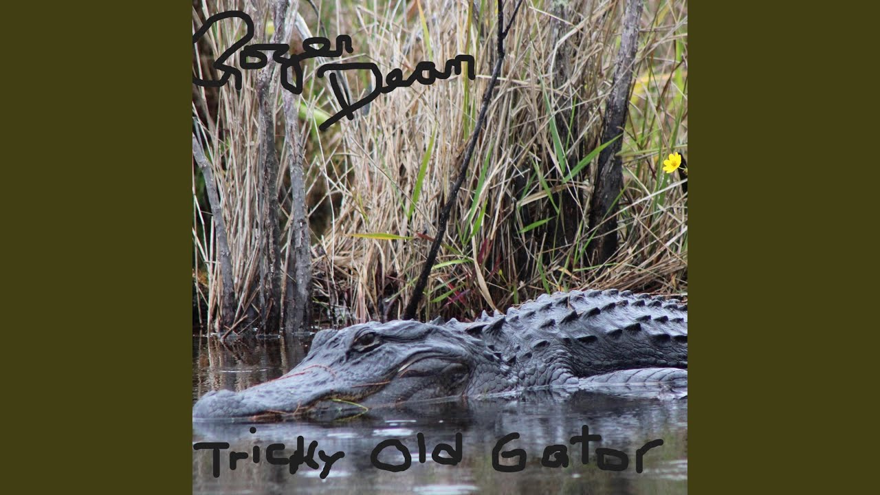 Tricky Old Gator