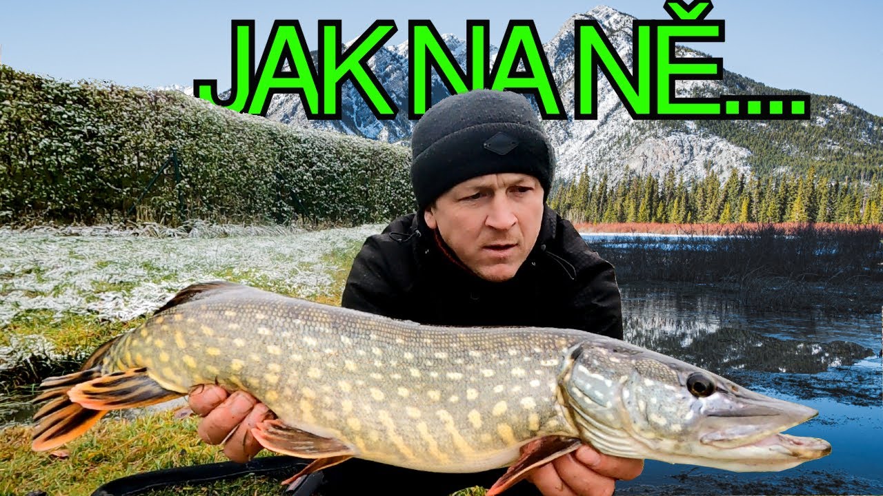 Lov štik na EXTRÉMNĚ účinnou metodu 🎣  (( NOVÁ METODA🐟 ))