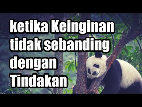 Video: Mengapa Keinginan Tidak Dipenuhi