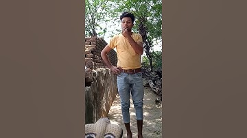 इच्छाधारी नाग बना शेषनाग ! Nagin #shorts #ichchadharinag #ichchadharinagin #snake #nagin6