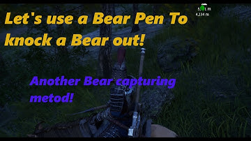 How to trap a bear to capture it! - Myth of Empires!