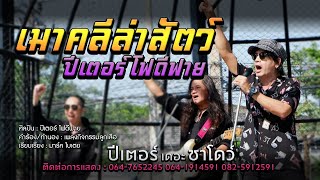 เมาคลีล่าสัตว์ - ปีเตอร์ โฟดีฟาย [Music Video]