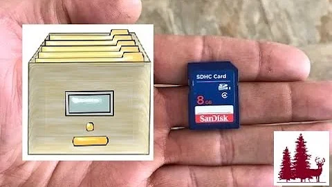 How to organize your trail camera pictures from a memory card or SD card