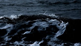 Embrace The Dark Wave