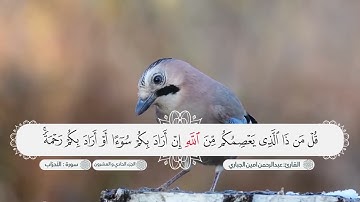 سورة الاحزاب بصوت القارئ عبدالرحمن امين الجباري