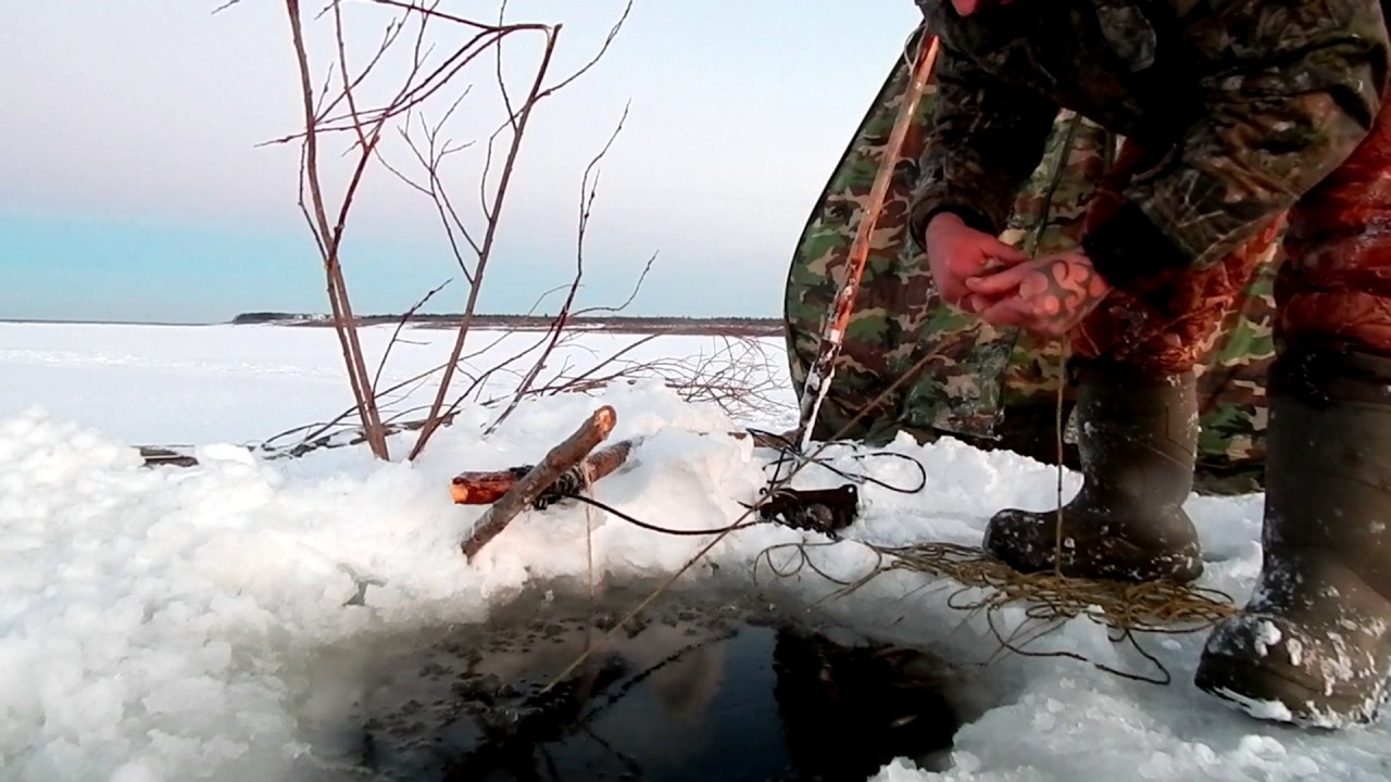 Рыбалка Налим(проверка перемёта)