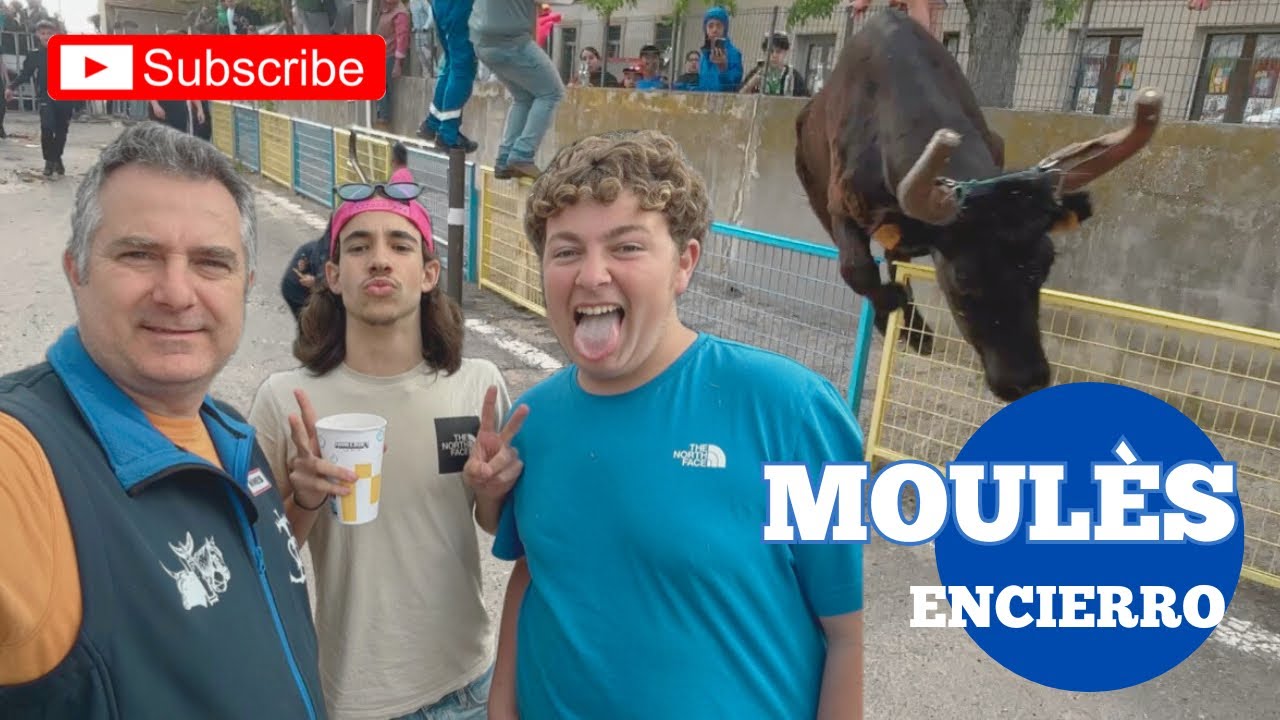 💥Excellent taureaux de la Manade de CONTI ➡️ Moulès 🇫🇷 Encierro de la fête de printemps 🌻26/04/25 ￼