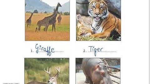 Class 3 PSEB My World (Environment Studies) - Family and animals (Lesson- 10) (Part 1)