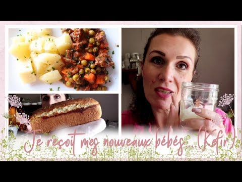 vlog-famille-du-28-mai-:-pain-de-mie,-pain-d’épeautre,-kéfir-de-fruit,-curry-de-boeuf-aux-légumes...