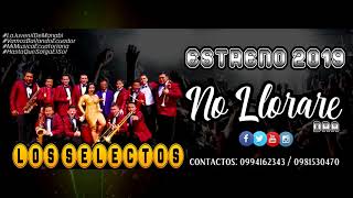 Video thumbnail of "Estreno 2019 | No Llorare (dra) | Los Selectos Orquesta"