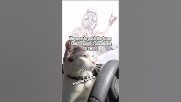 The average random teammate experience #gaming