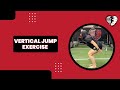Vertical Jump Exercise