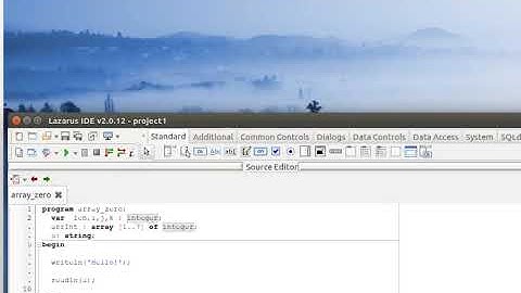 lazarus Сonsole docking mode Консоль в общем окне (Linux)