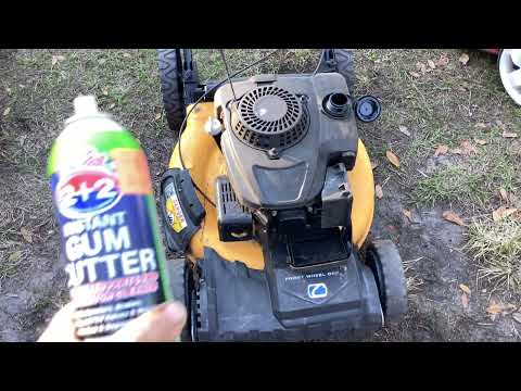   2020    300       20   