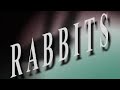 RABBITS 2