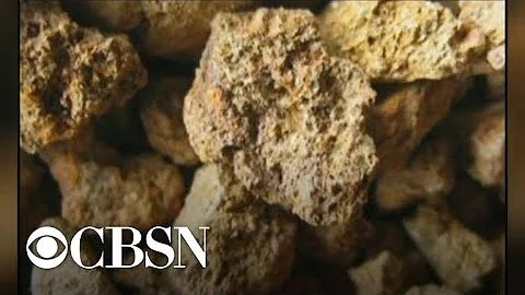 China could use "rare earths" in trade war with U.S.