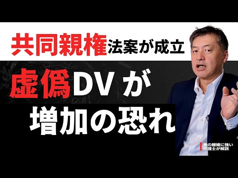 共同親権法案が成立して虚偽DV増加の恐れ！共同親権に賛成の弁護士が解説