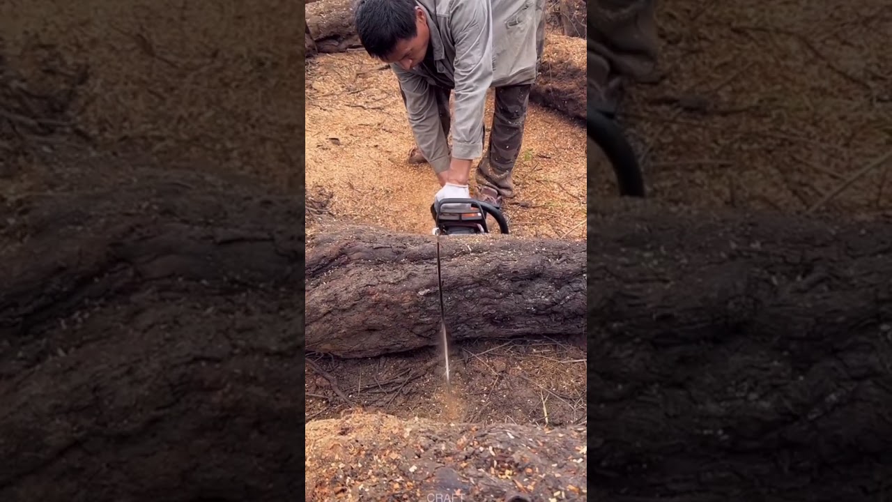 PRECISE! Precious Wood Cutting – Craft Rare Timber Without Waste!