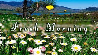 🌿🌞GOOD MORNING SPRING🌼Nature Therapy to Start Your Day w/ Positive Energy🌿Fresh Morning Meditation#3
