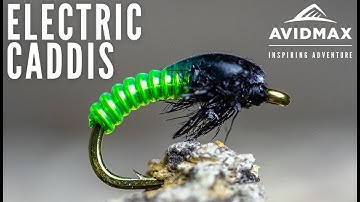 How to tie the Electric Caddis | AvidMax Fly Tying Tuesday Tutorials