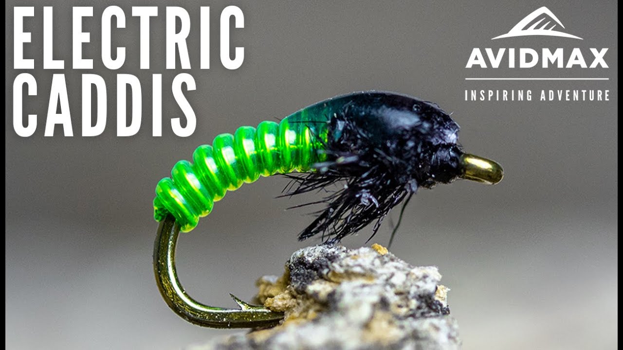 How to tie the Electric Caddis AvidMax Fly Tying Tuesday Tutorials
