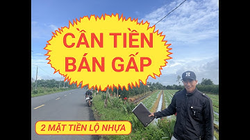 CHỦ NGỘP CẦN BÁN MẢNH ĐẤT 2 ĐẦU GIÁP LỘ NHỰA, VIEW SÔNG TẠI BÌNH TÂN VĨNH LONG
