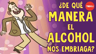 ¿De qué manera el alcohol nos embriaga?  Judy Grisel