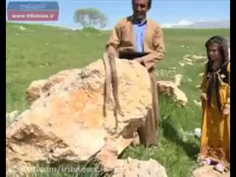خانواده عجیب ایرانی که سالها با مارهای سم ی درون خانه شان زندگی می کنند