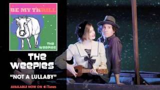 Video thumbnail of "The Weepies - Not A Lullaby [Audio]"