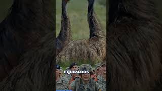 La increíble Guerra del Emú | War Fact