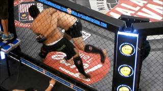 Ijam 50 Caliber Asri Mimma-14 Ladder Match