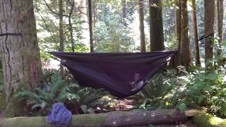 Hennessy Hammock Expedition Asym Classic discussion
