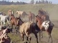 Marlboro Ranch Running of the Horses